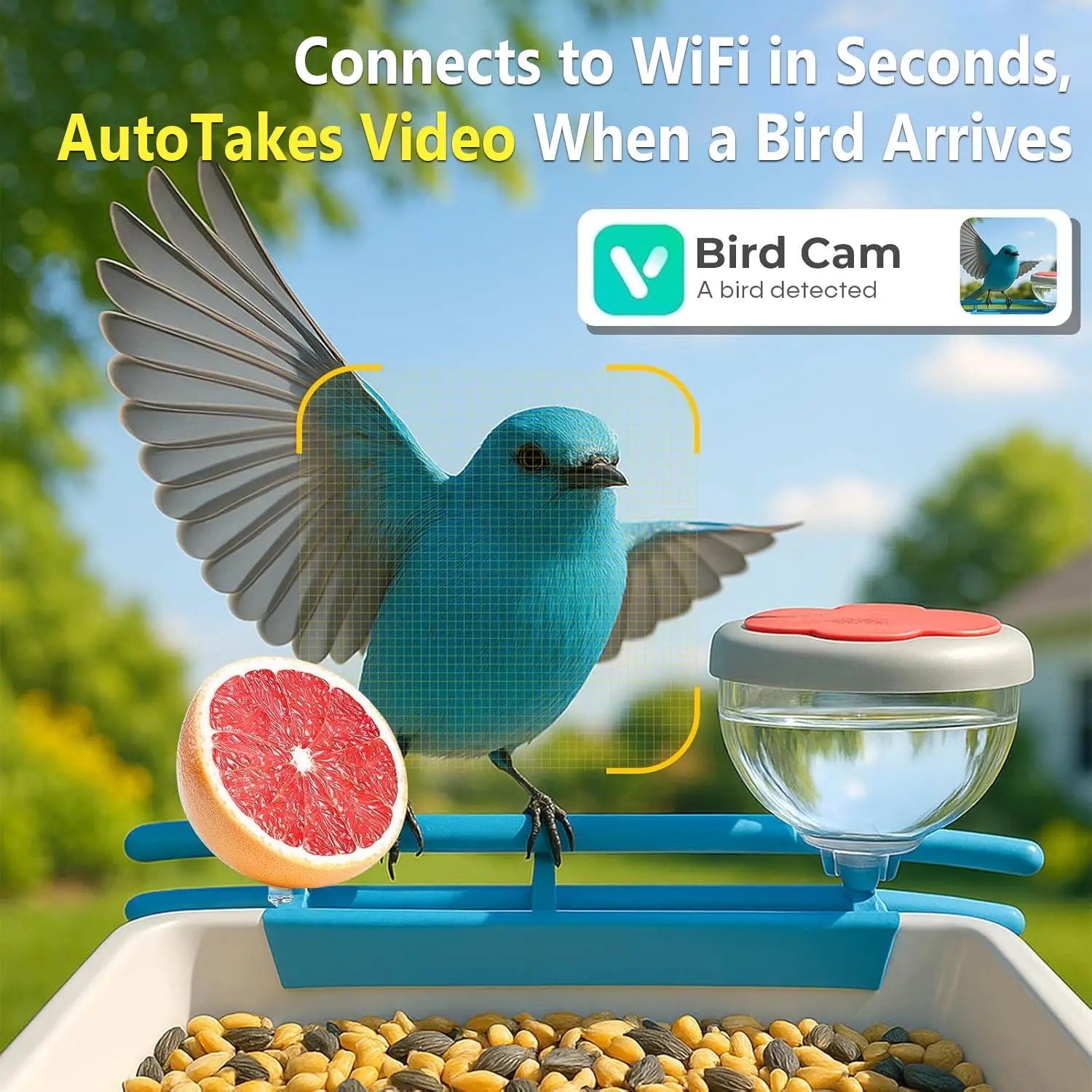 Smart Bird Feeder Camera 2K Live Stream AI Recognition Solar Motion Alert SquirrelProof Sensor Night Vision Weatherproof Outdoor