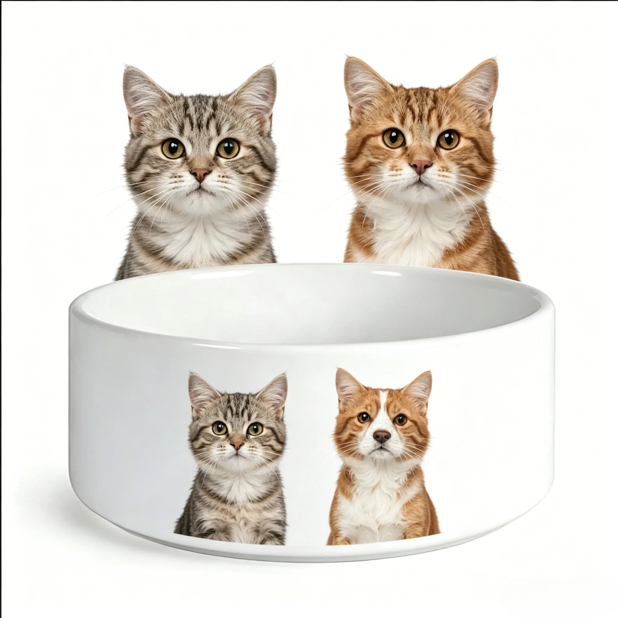Eco-Friendly Ceramic Pet Food Bowl for Cats-Durable and Waterproof