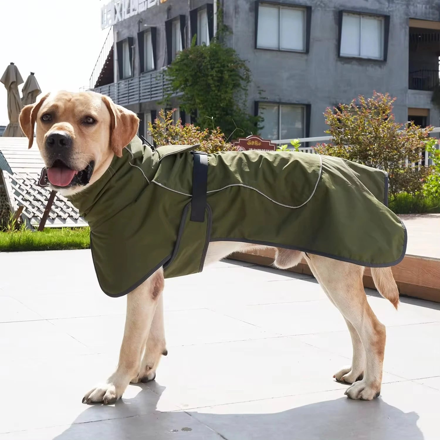 Waterproof Reflective Dog Winter Coat, Fleece Lined Windproof Dog Snow Jacket with Adjustable Buckle, Black / Green