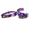 Luxury Waterproof Solid PVC Adjustable Dog Collar and Leash Set for Small/Medium/Large Dogs-Holiday Christmas Pet Accessories