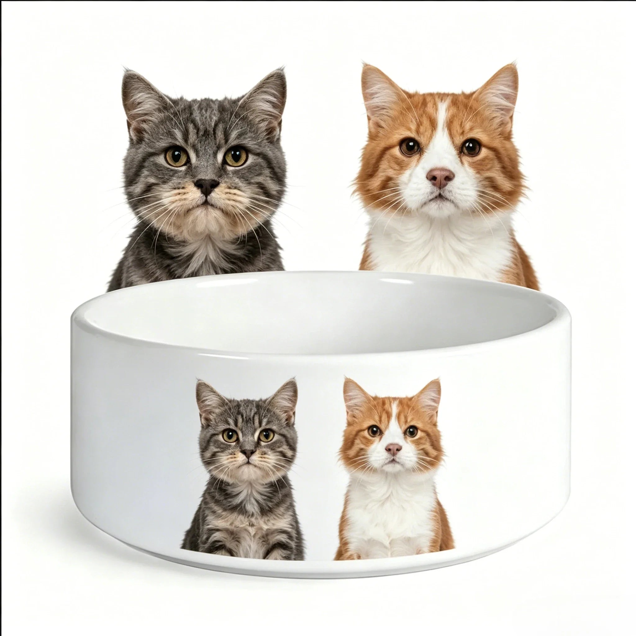 Eco-Friendly Ceramic Pet Food Bowl for Cats-Durable and Waterproof
