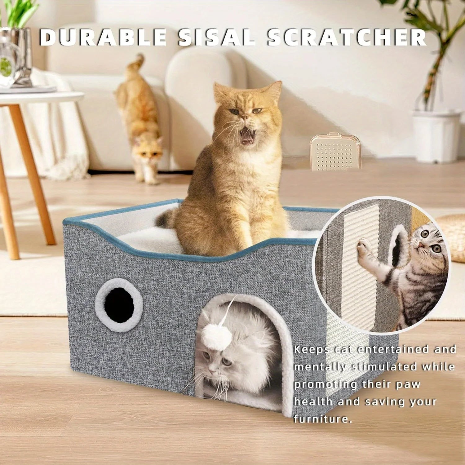 Extra-Wide Cat House for Indoor Cats