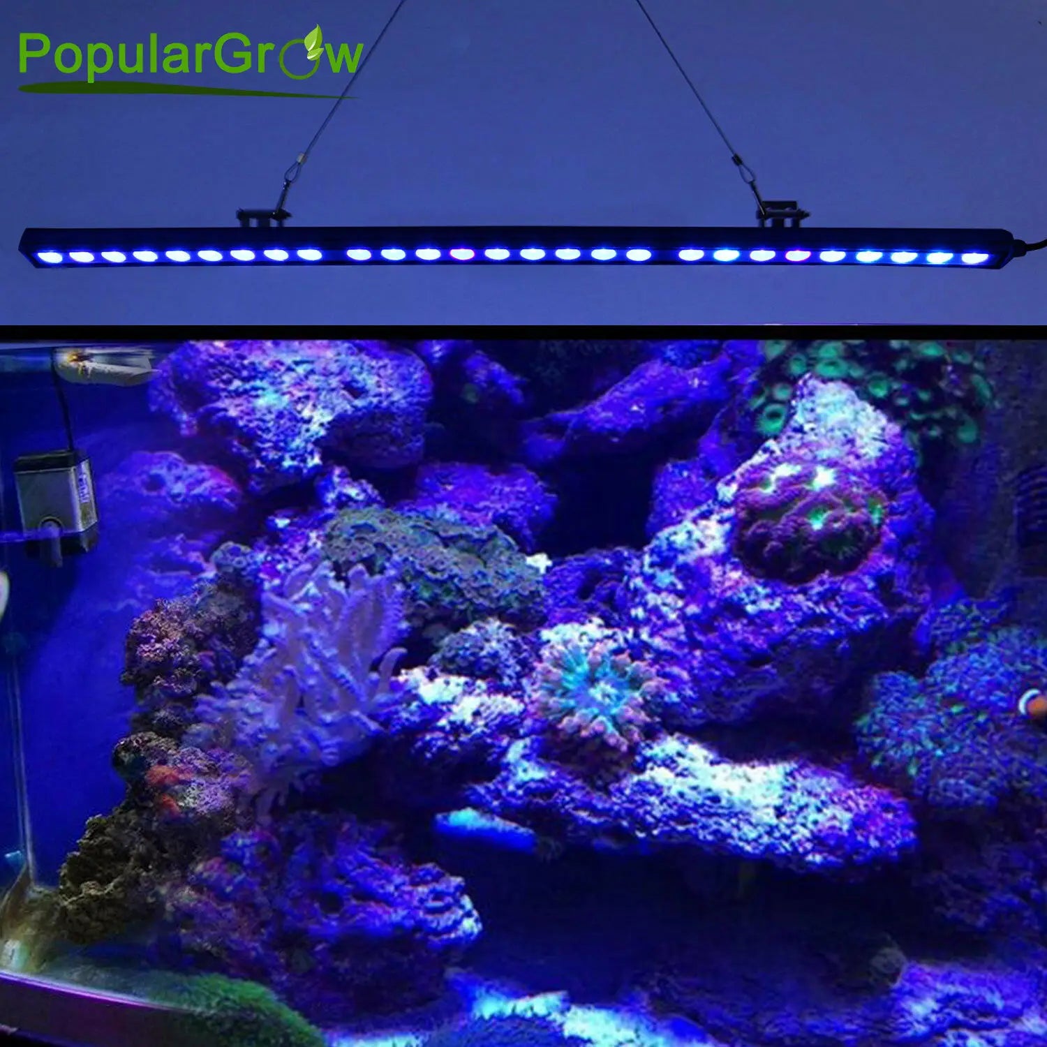 Populargrow Bluetooth Control 54W/81W/108W Led Aquarium Light with 470nm Leds Dimmable Fish Lamp for Coral Reef Tank