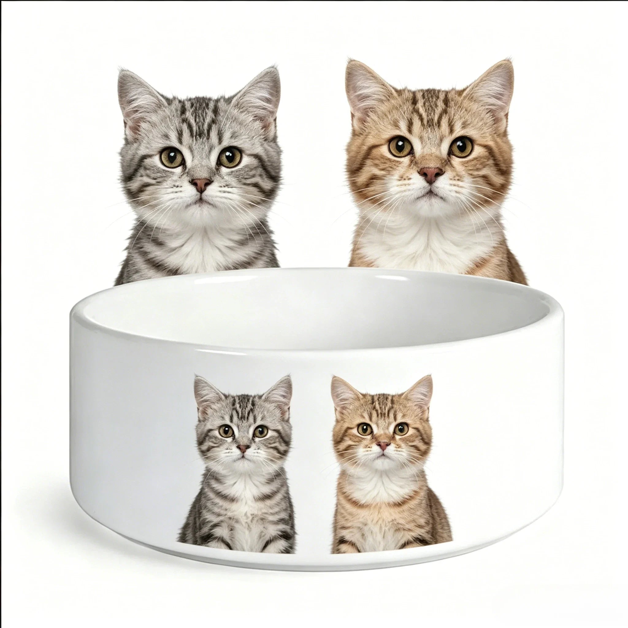 Eco-Friendly Ceramic Pet Food Bowl for Cats-Durable and Waterproof