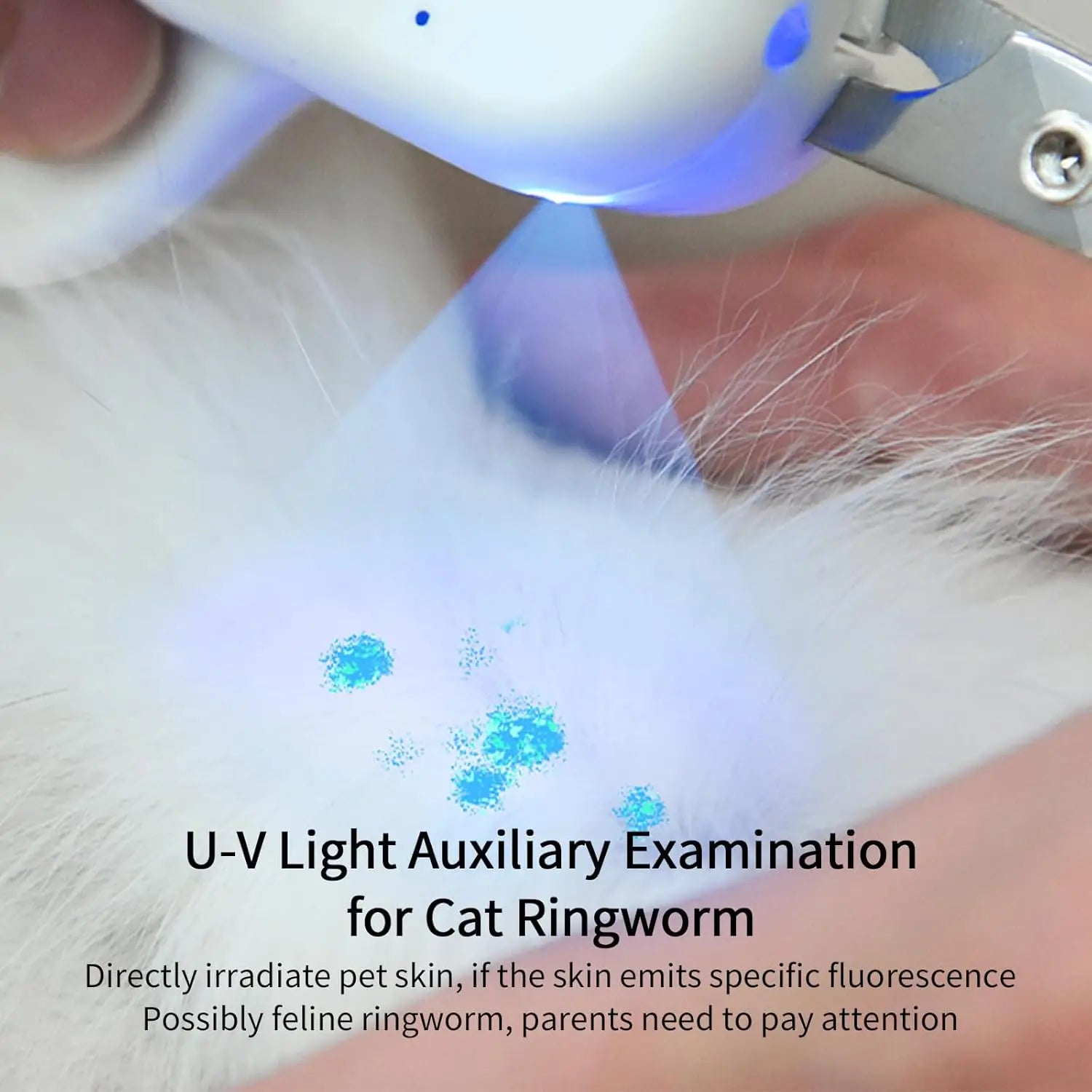 Pet Nail Clipper with LED and U-V Light, Cat Claw Trimmer with Ultra Bright LED Light