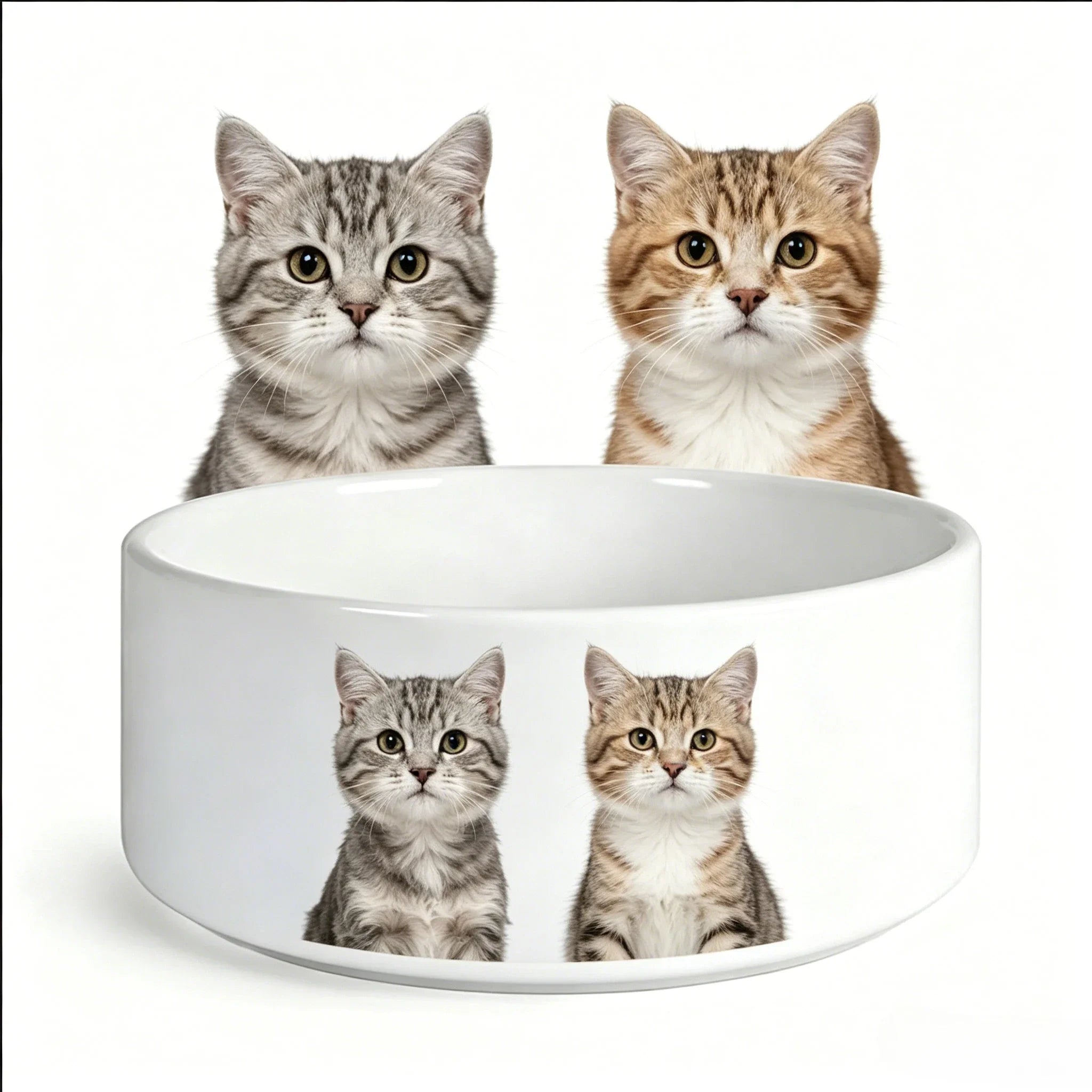 Eco-Friendly Ceramic Pet Food Bowl for Cats-Durable and Waterproof