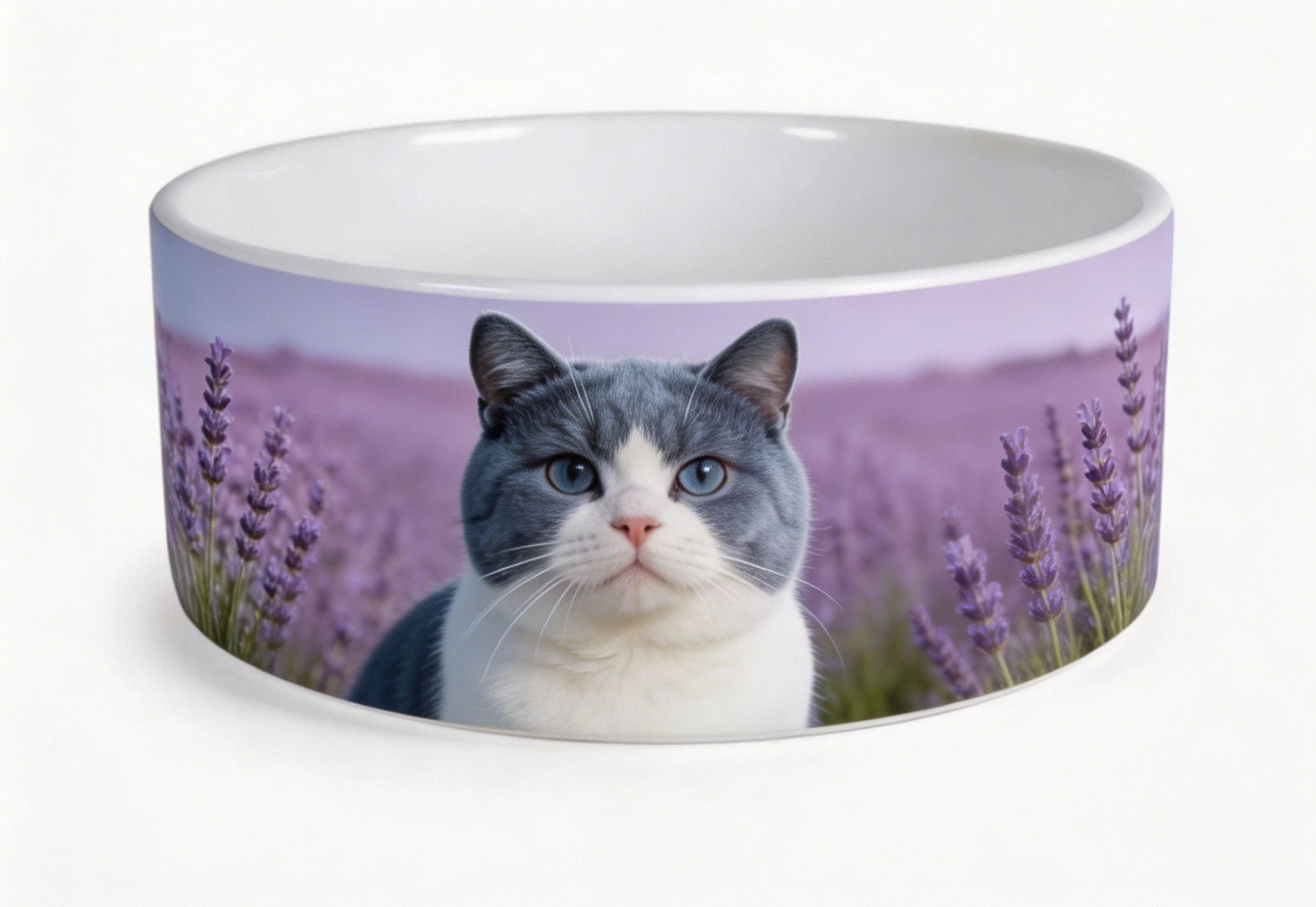 Large Custom Photo White Porcelain Dog Bowl 18cm Sublimation Printed Personalized Ceramic Pet Food Water Feeder