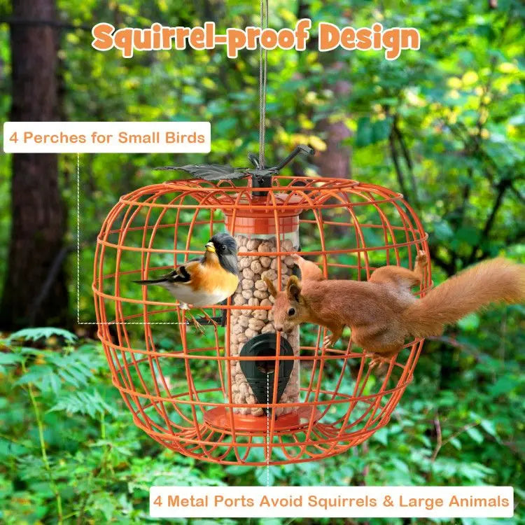 Squirrel-Proof Pumpkin Bird Feeder with Cage and 4 Metal Ports Bird Supplies