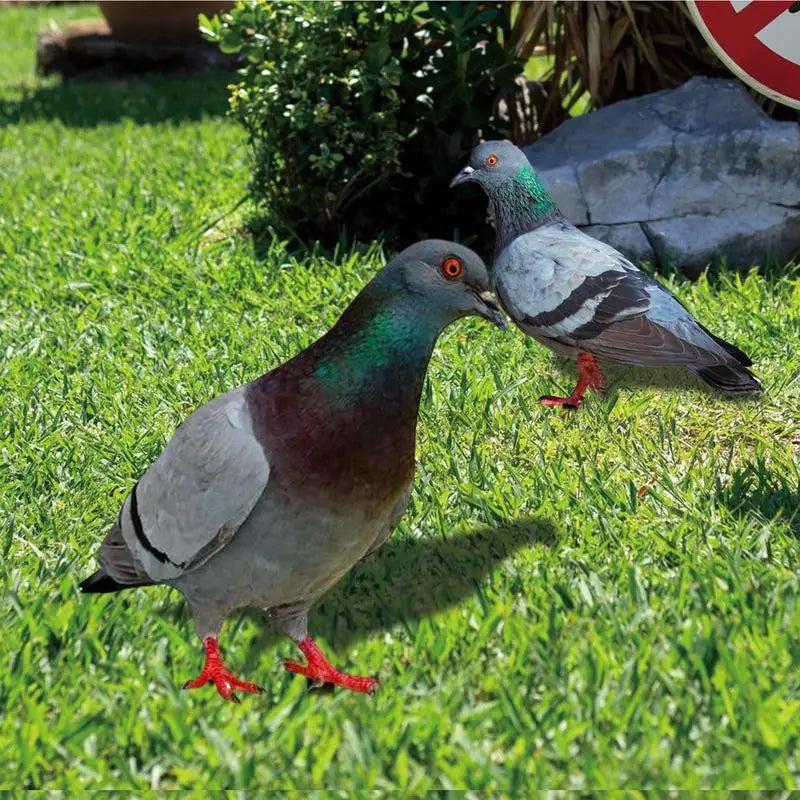 Pigeon Bird Decor 2X Realistic 2D Acrylic Pigeon Model Bird Stake Ground Plug Decorative Yard Art Bird Figurine For Courtyard
