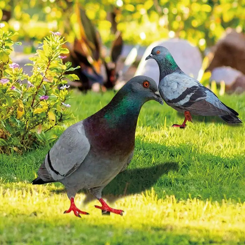 Pigeon Bird Decor 2X Realistic 2D Acrylic Pigeon Model Bird Stake Ground Plug Decorative Yard Art Bird Figurine For Courtyard