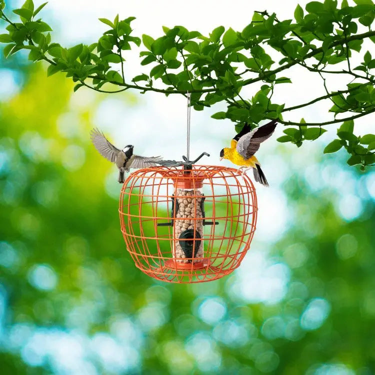 Squirrel-Proof Pumpkin Bird Feeder with Cage and 4 Metal Ports Bird Supplies