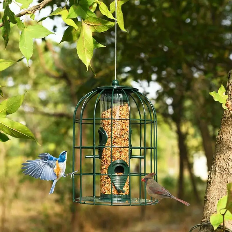 Squirrel-Proof Outdoor Metal Wild Bird Feeder with Tube & Seed Guard Deterrent for Outdoor Use Bird Supplies Product Category