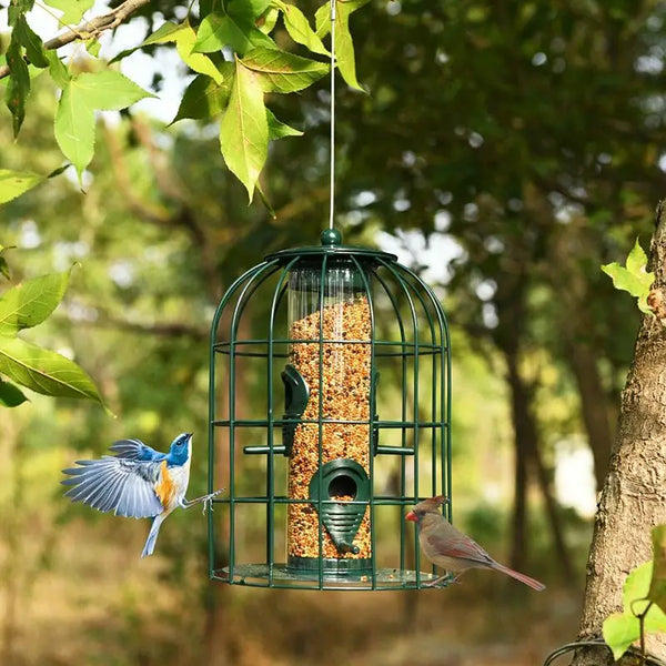 Squirrel-Proof Outdoor Metal Wild Bird Feeder with Tube & Seed Guard Deterrent for Outdoor Use Bird Supplies Product Category