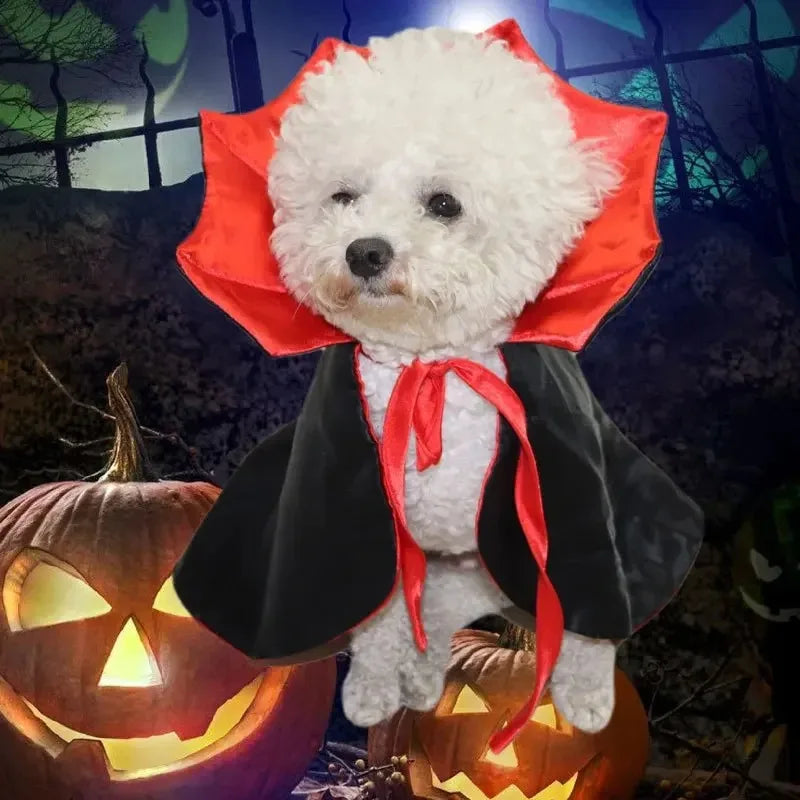 Cat & Dog Costume Halloween Dog Costume, Costume for Dog, Dog Halloween Costume, Pet Vampire Cloak Cape Halloween Cosplay Outfit