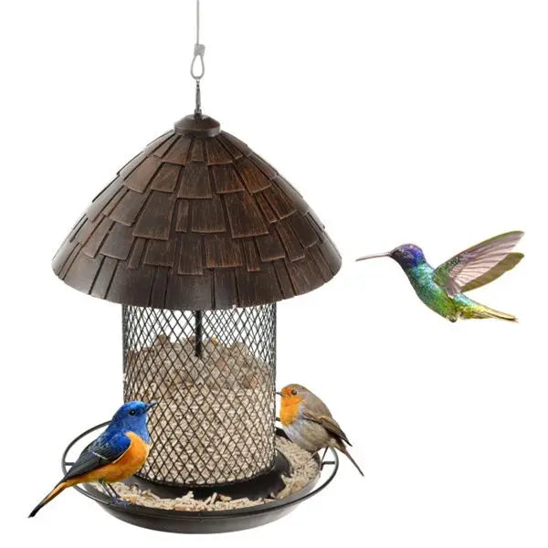 Hanging Bird Feeder with Comfort Perch and Convenient Drain Holes Essential Bird Supplies