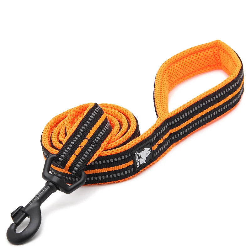 Winhyepet Dog Leash with Padded Handle Training Durable 200cm Luxury Pet Leash for Small Medium Large Dogs accessories
