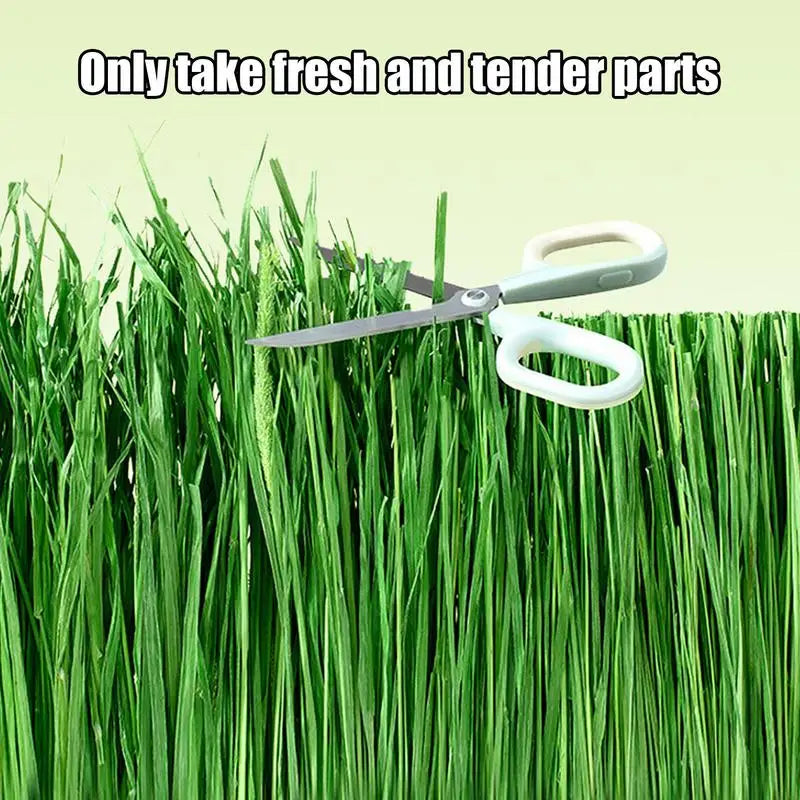 Rabbits Food Hay Safe Natural Grass Hay Bedding For Hamster Healthy Pet Food Improves Digestion For Small Animal Gerbils