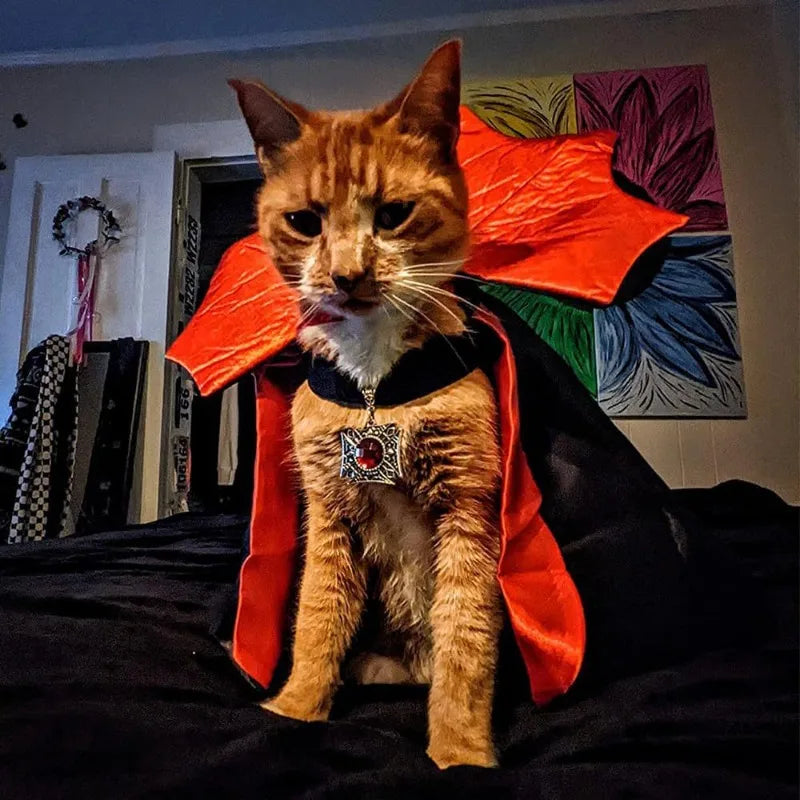 Cat & Dog Costume Halloween Dog Costume, Costume for Dog, Dog Halloween Costume, Pet Vampire Cloak Cape Halloween Cosplay Outfit