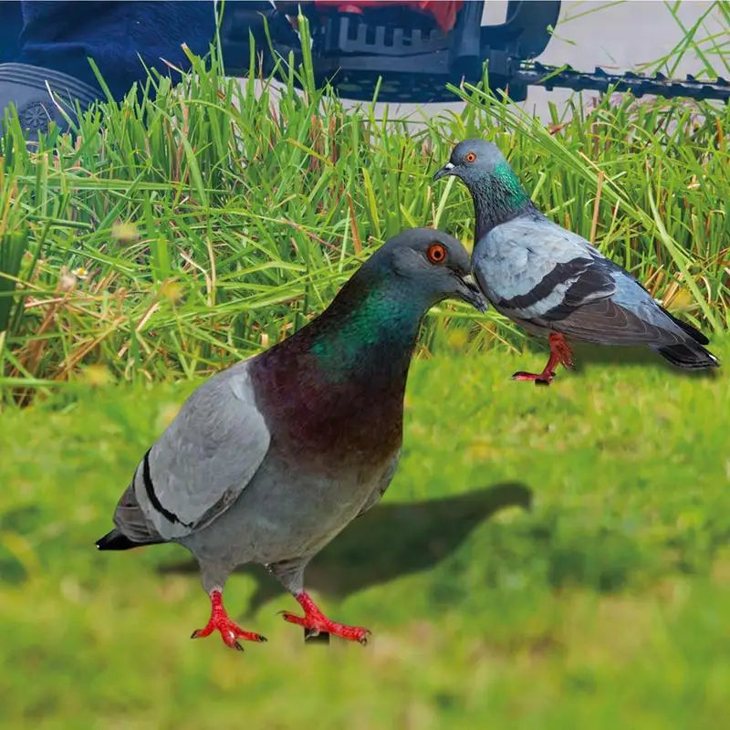 Pigeon Bird Decor 2X Realistic 2D Acrylic Pigeon Model Bird Stake Ground Plug Decorative Yard Art Bird Figurine For Courtyard